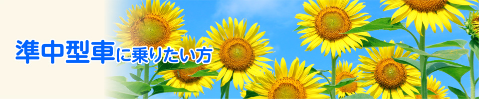 キャンペーン