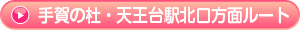 ルート5