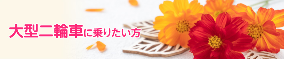 キャンペーン