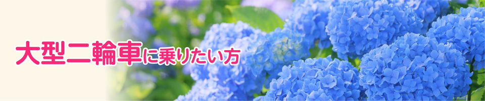 キャンペーン
