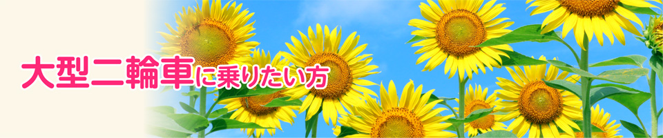 キャンペーン