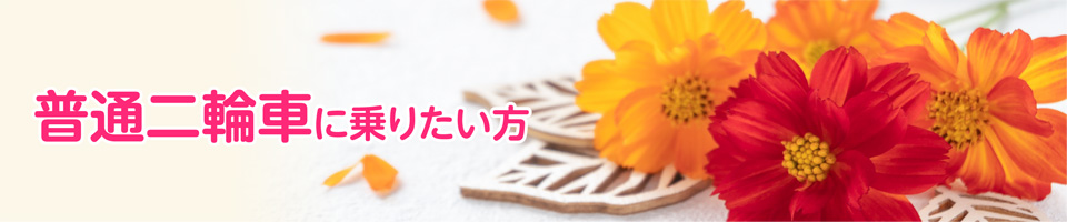 キャンペーン