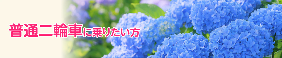 キャンペーン
