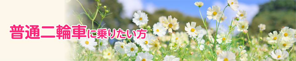 キャンペーン