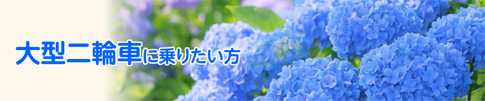 キャンペーン