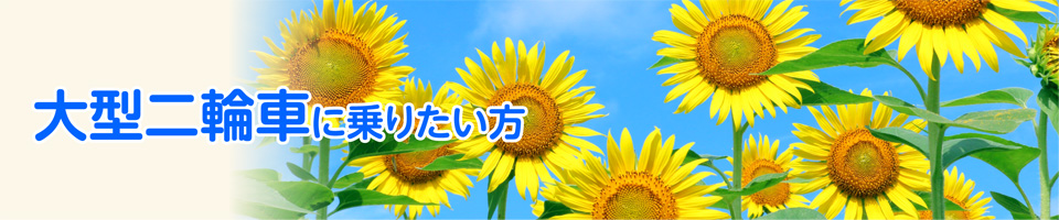 キャンペーン