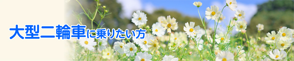 キャンペーン