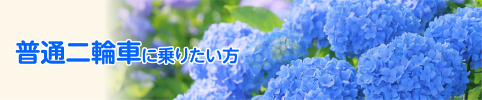 キャンペーン