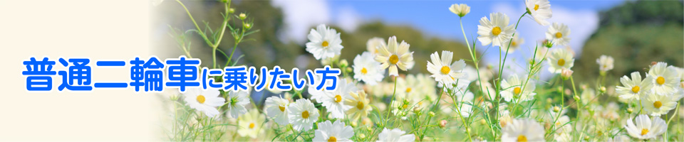 キャンペーン