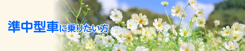 キャンペーン