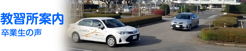 卒業生の声