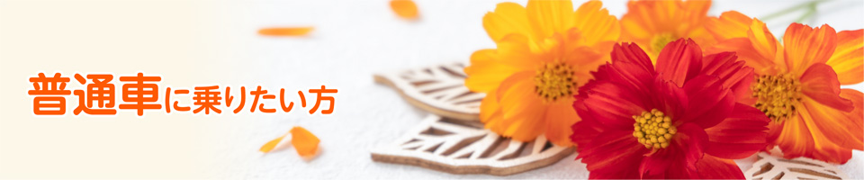 普通車 キャンペーン